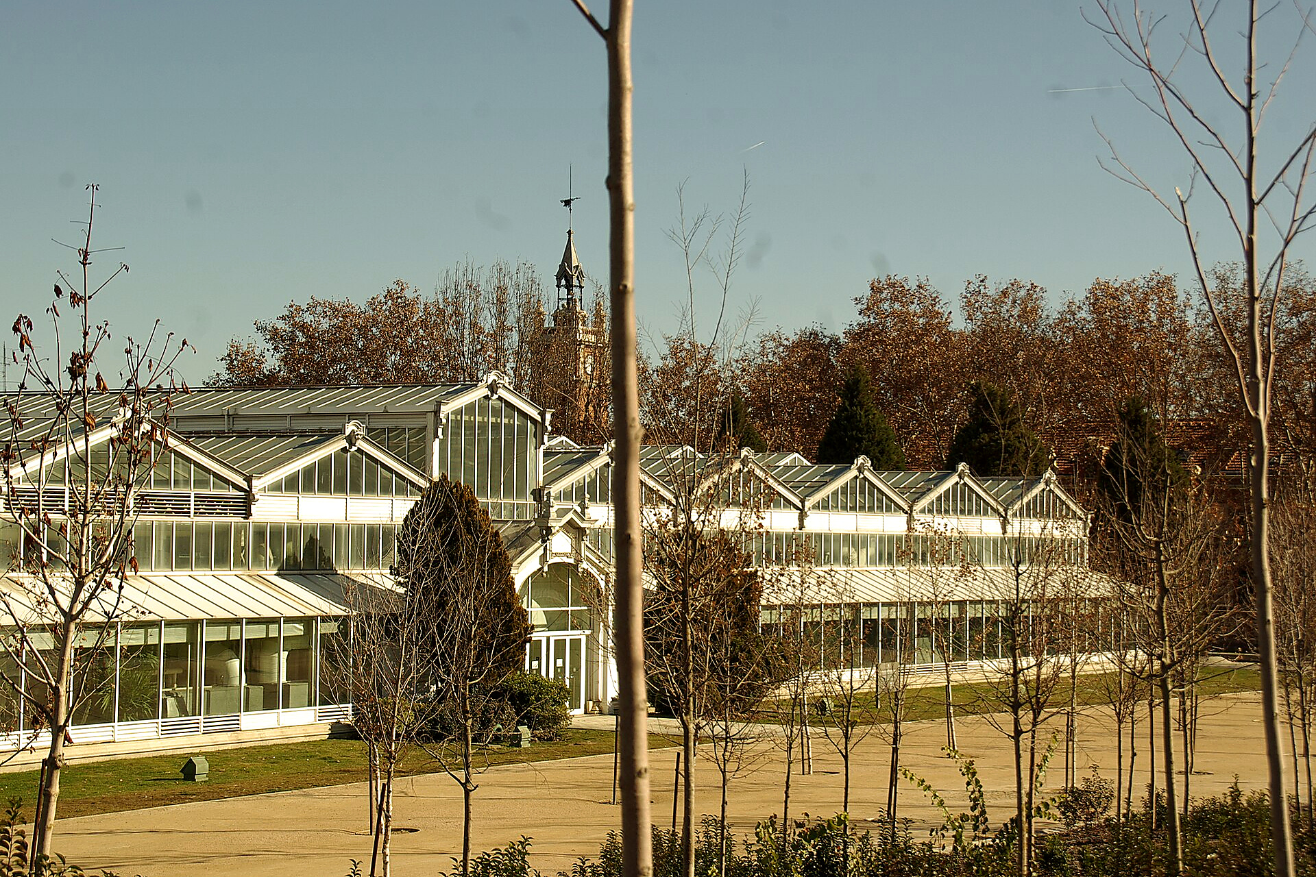 Arganzuela Greenhouse in Madrid: the Secret Crystal Palace of Madrid Río with Tropical and Desert Plants