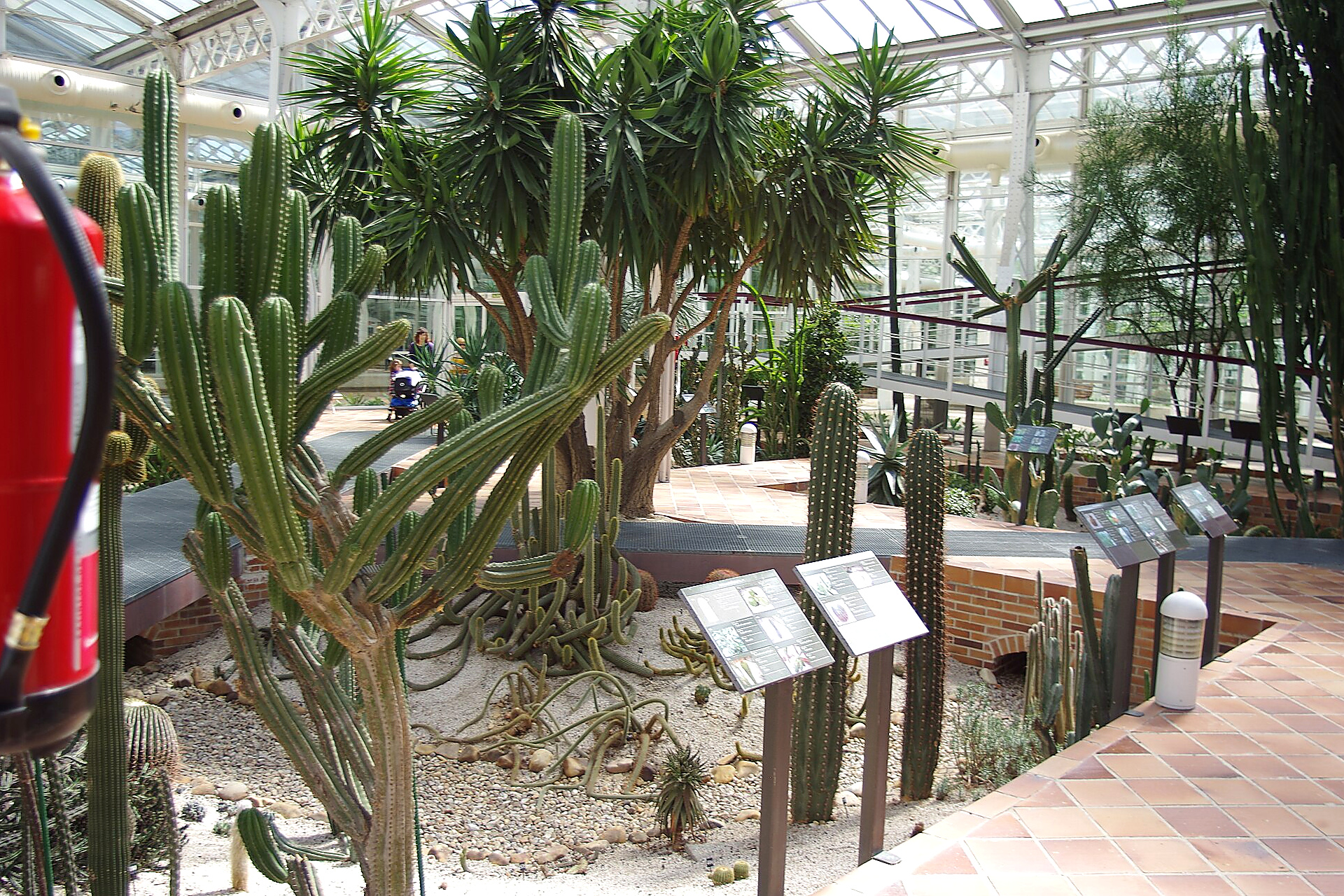 Arganzuela Greenhouse in Madrid: the Secret Crystal Palace of Madrid Río with Tropical and Desert Plants