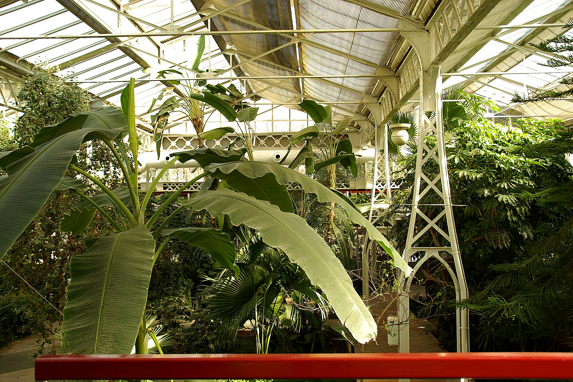 Arganzuela Greenhouse in Madrid: the Secret Crystal Palace of Madrid Río with Tropical and Desert Plants