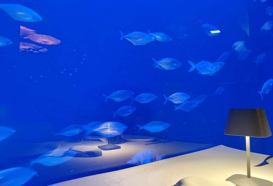 Submarino Restaurant, a space of high Mediterranean gourmet cuisine inside the Oceanogràfic of Valencia